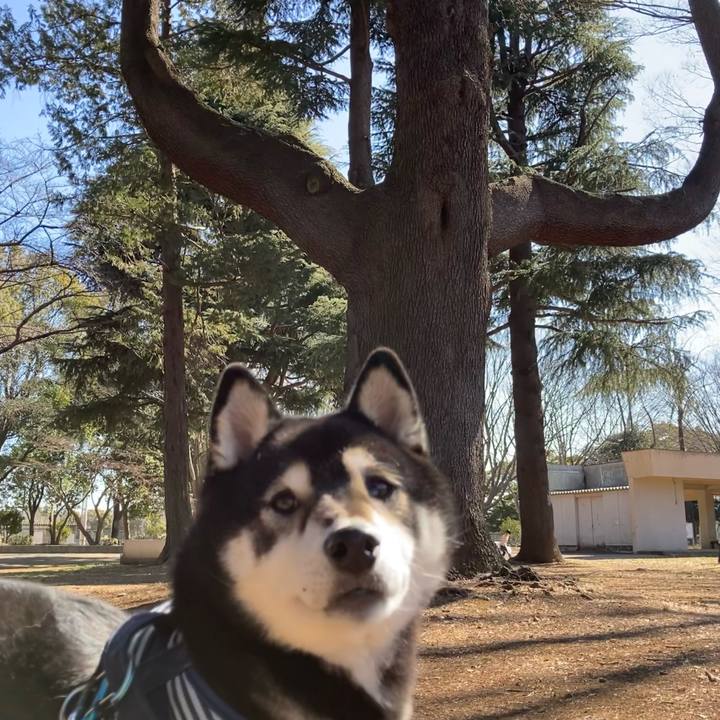 E92bb18d 4015 4422 abb1 af8081bca007 1645602599784