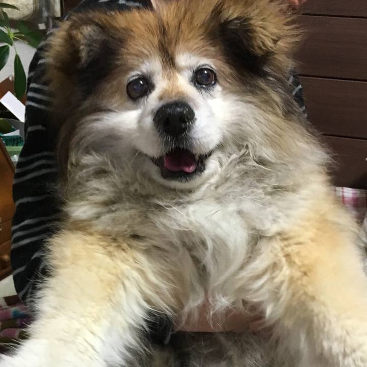 E92bb2d6 fedb 4d3f 8caa e10ba8cc1a34 1605440547876