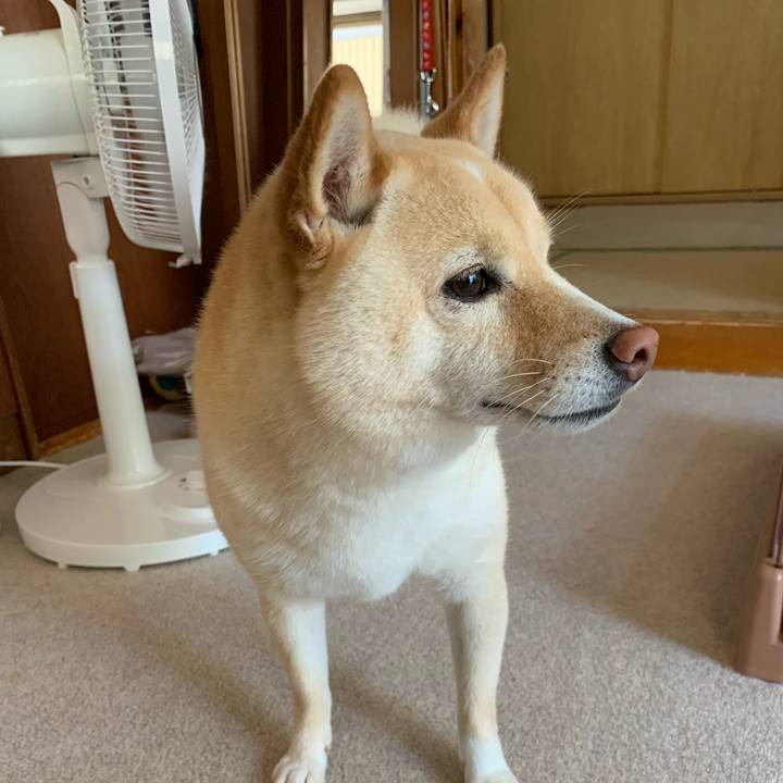 E92bc19d 3767 42a7 acd8 932a77edef52 1626928554044