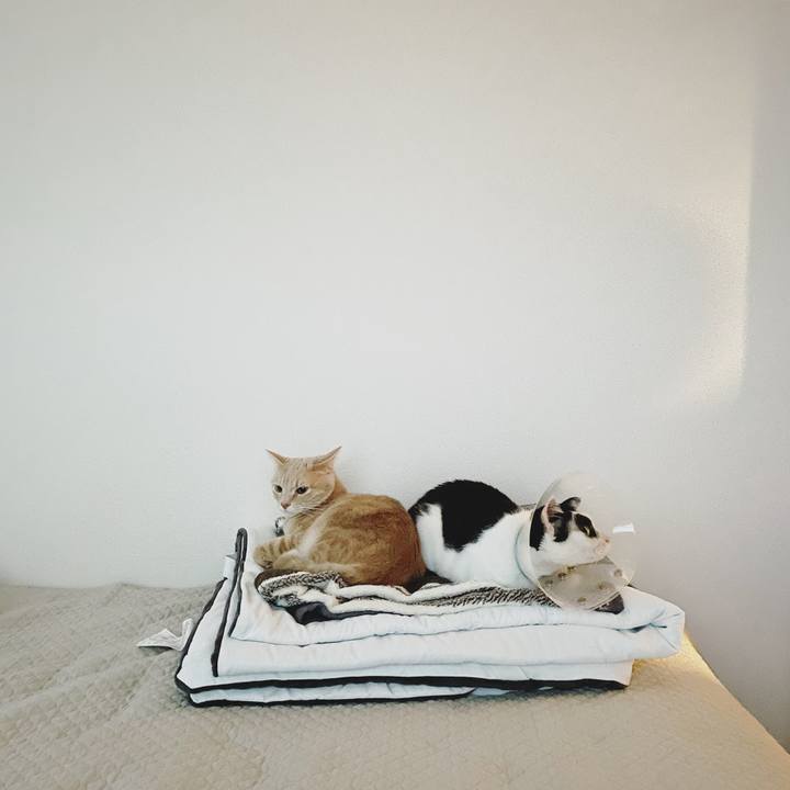 E92bfc55 646f 4395 8127 30058e688aa9 1650965475733