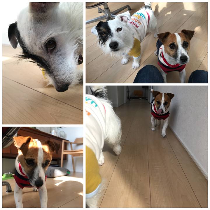 E92c06d1 a840 4ef0 876b b99e06525364 1513734435050