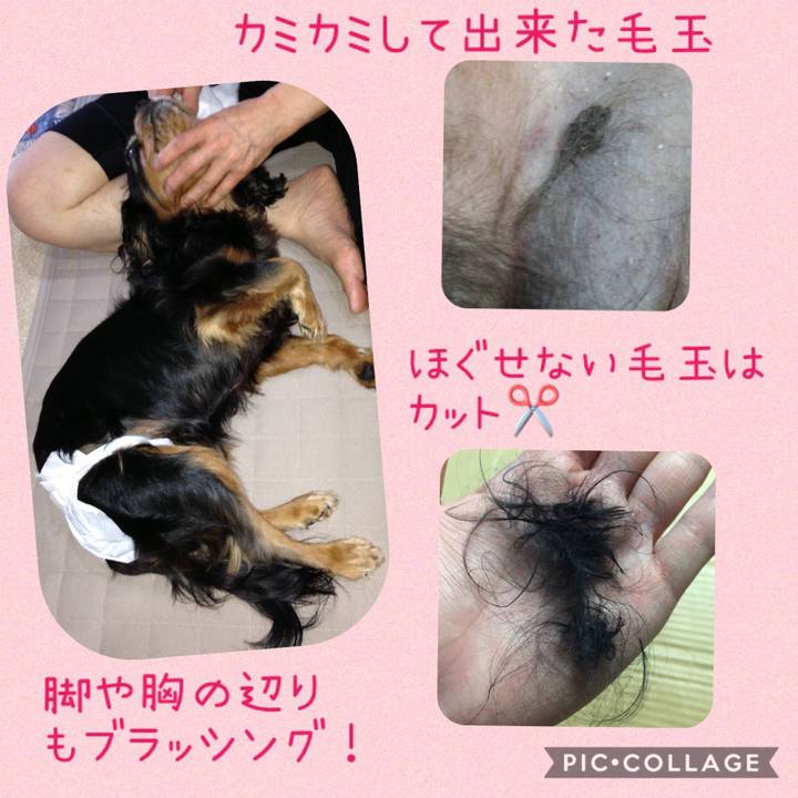 E92c0e6b 9d89 41d2 b5a2 1f45516a952a 1572943105482