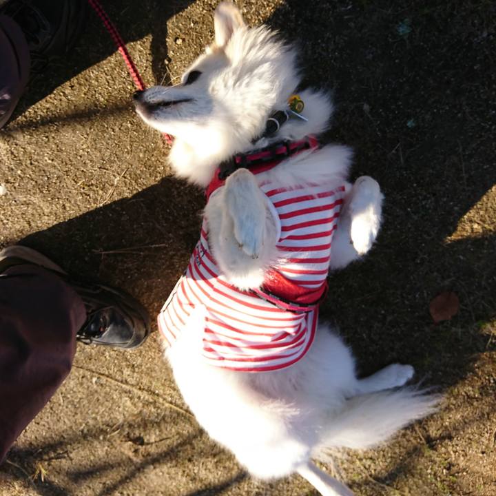 E92c17eb c772 41c4 9025 6e9247e215d3 1542233240138