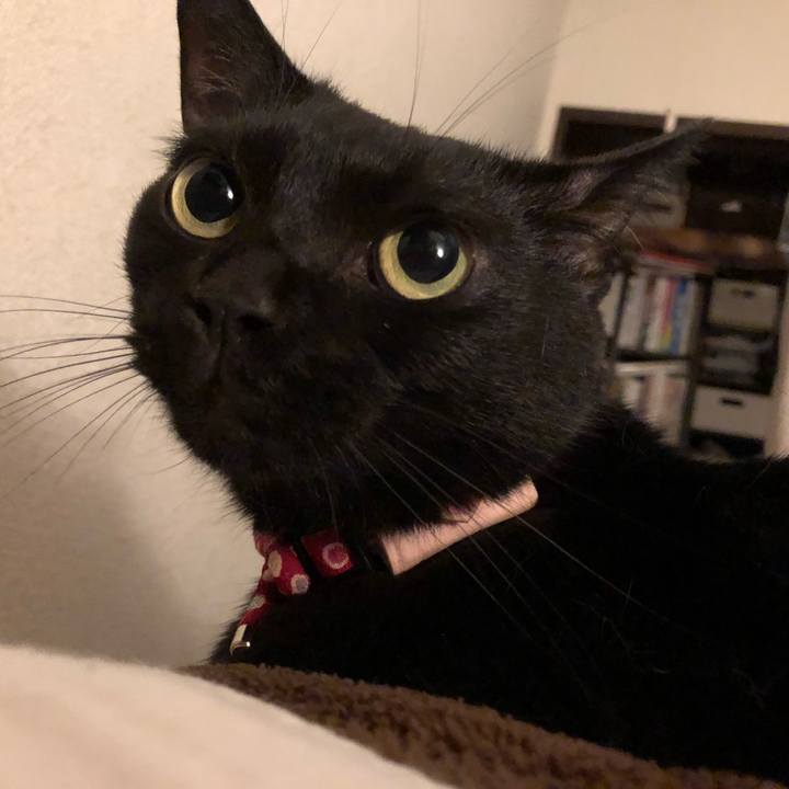 E92c2591 ba54 4244 a36a b1d92c2a61af 1629463570119