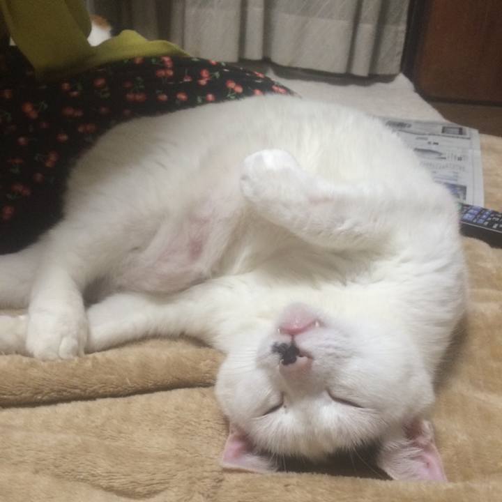 E92c346d a948 413f 8f37 a3d1d716afc4 1561347610228