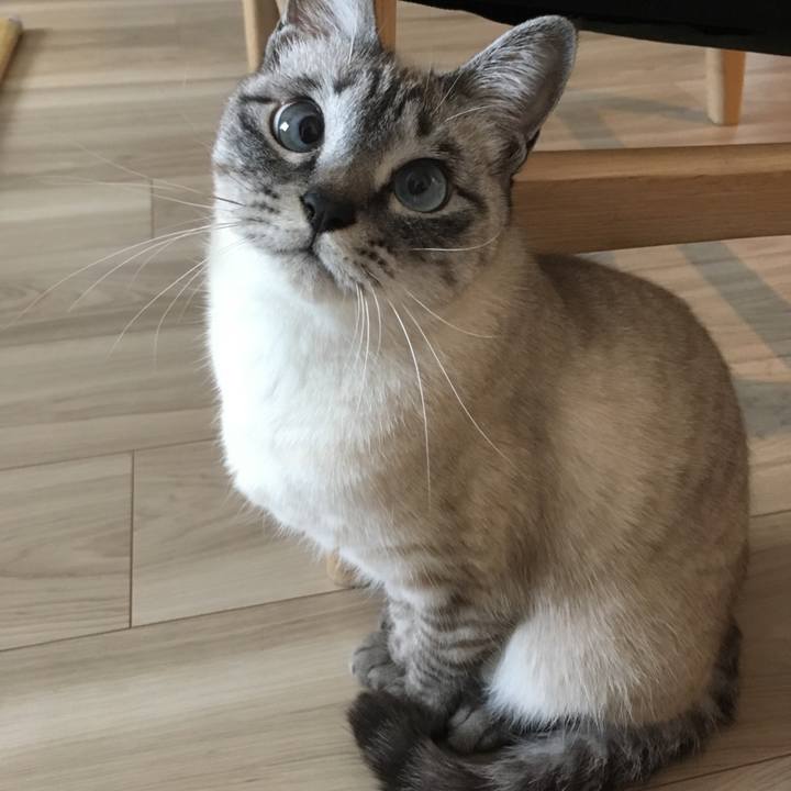 E92c6cd5 f65a 4e2c a155 03b5b775850f 1580691028864