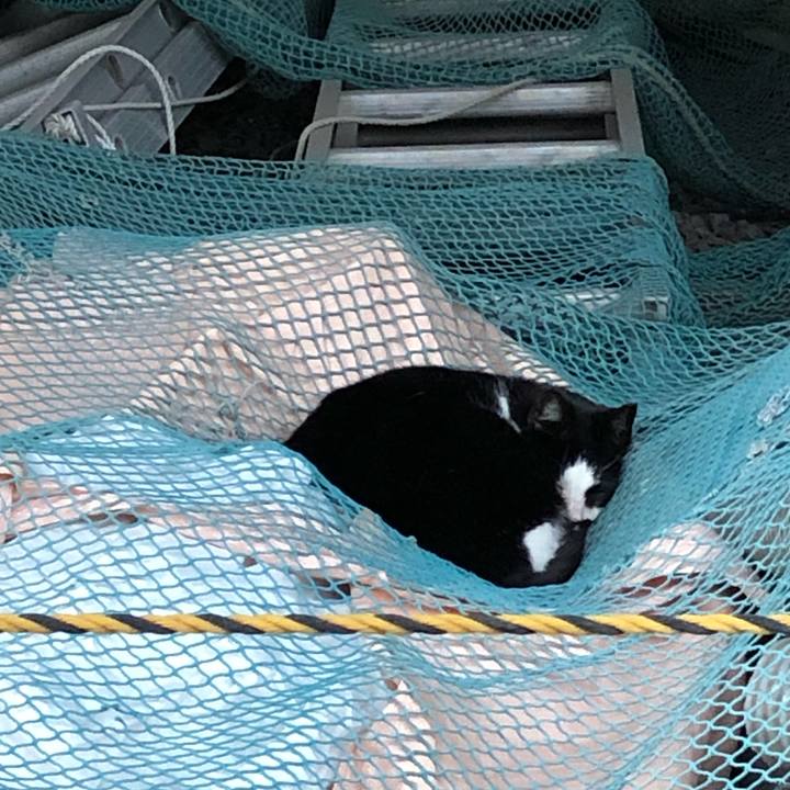 E92c6ef9 a68b 4484 81d0 f2eae24d9990 1543420456309