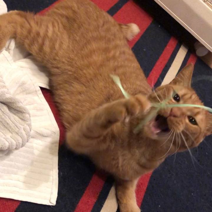 E92cbfe6 ed57 41c5 ba35 56c4f8b852a0 1743939851849