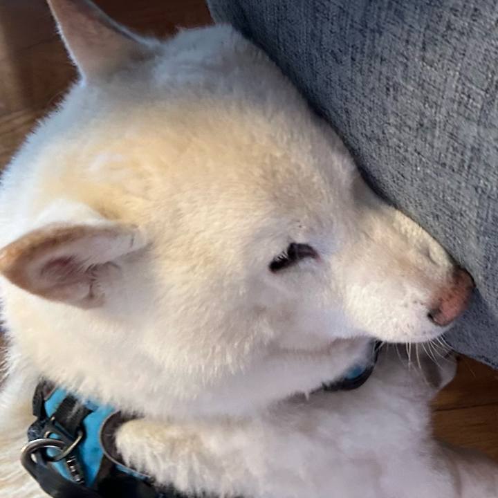 E92d01fb 3452 4bc4 a5e0 302b804115a0 1772758438221