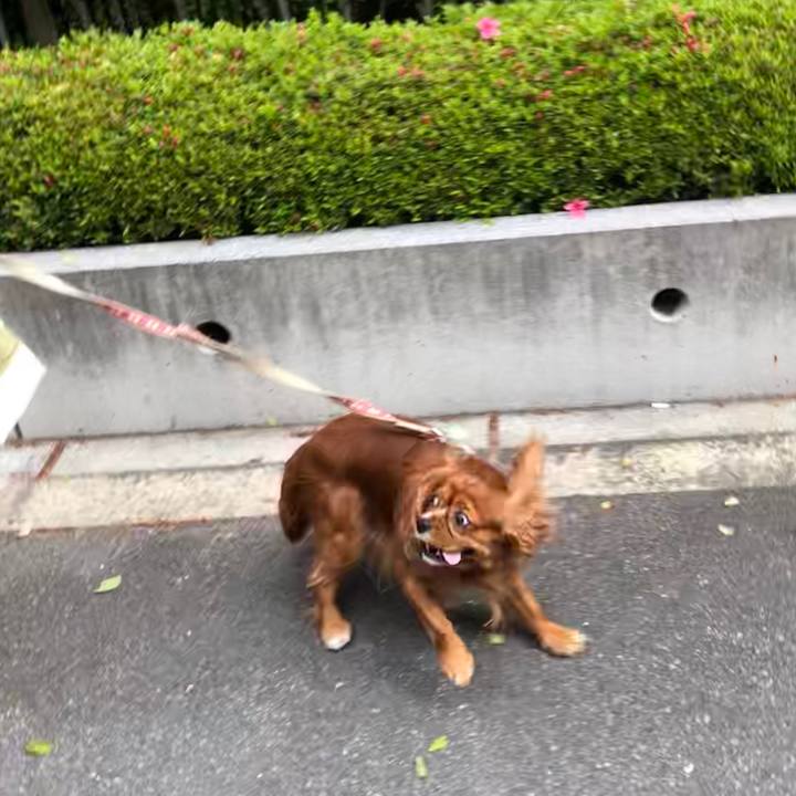 E92d0f87 d284 495a 88e9 c7a6522671c7 1588570279144