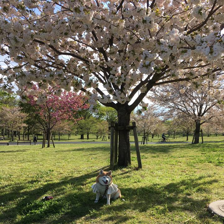 E92d1179 2594 4491 8a19 db50d5889e1a 1555399029314