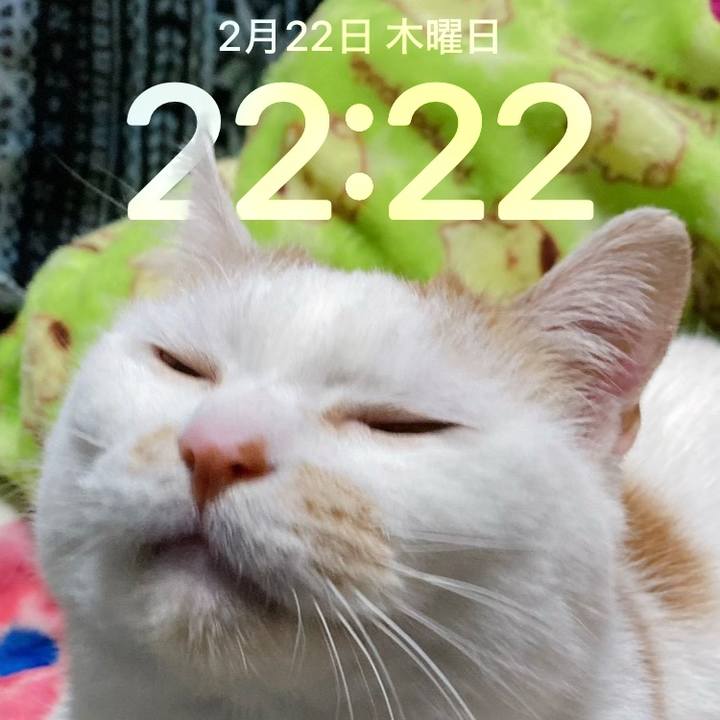 E92d29ee 5cda 4c1e b8cc 9476d887fd81 1708608184084