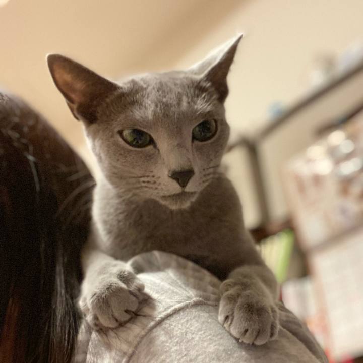 E92d2ceb eb2a 49fe 81c8 cf39c890cb48 1637149699367