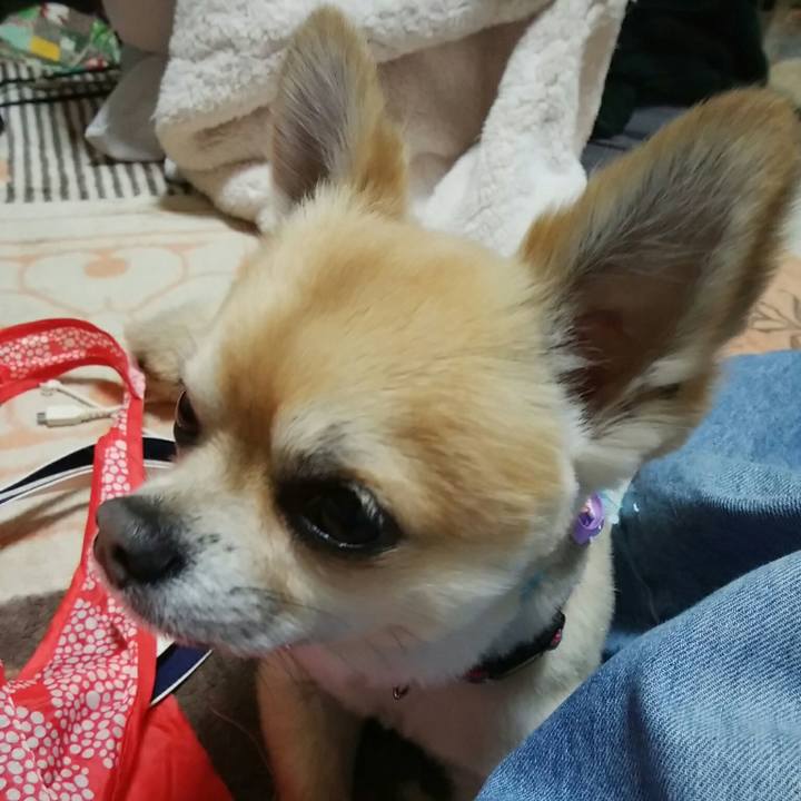 E92d9e1d 0b33 46cd 9dec 77b37eb0ee35 1552125241668