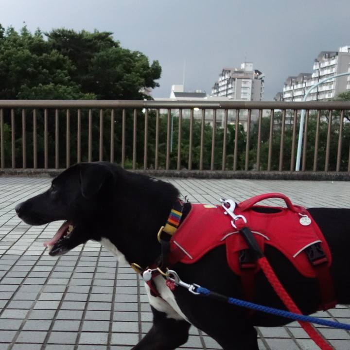 E92db523 6ddd 4d7d a6ef 2c84805ad6d6 1591437409138