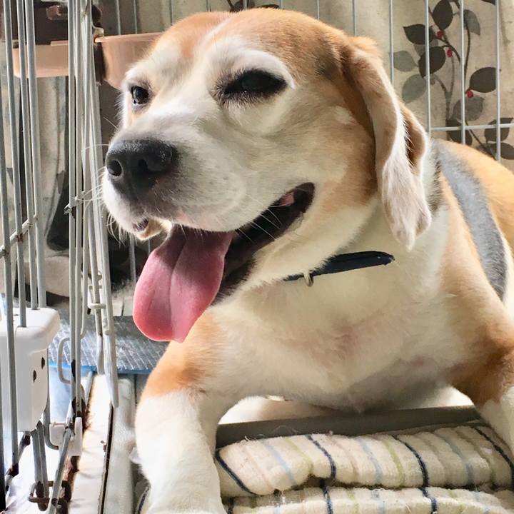 E92dba20 f123 4746 88bf c1c09178b60c 1535241729912