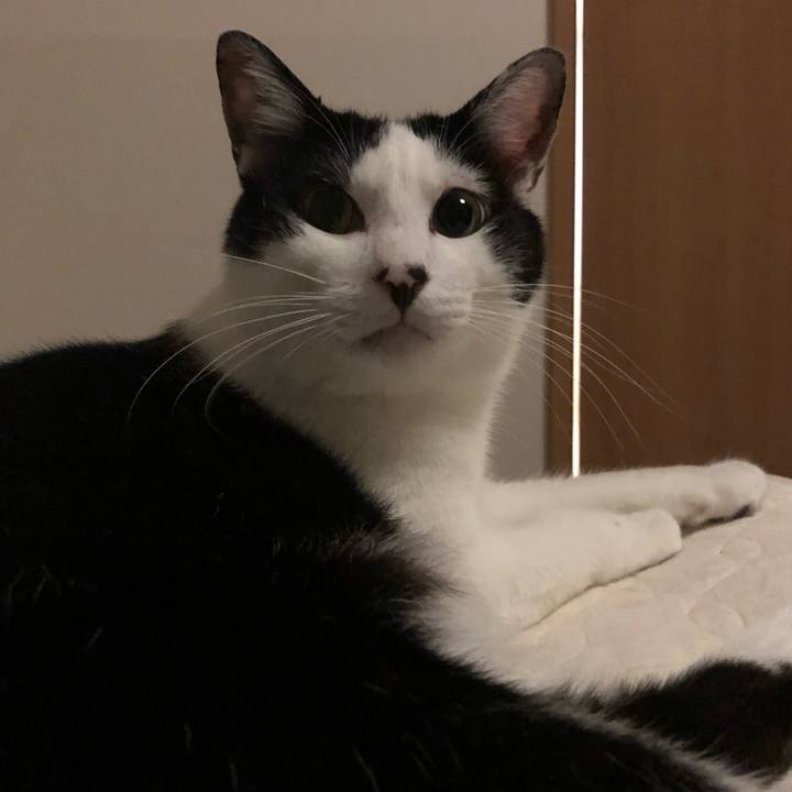 E92dc575 6651 4517 b4cf ac6b2e60208f 1561983311350