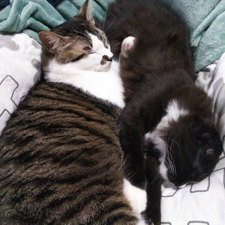 E92dc8a8 bfbf 4164 977c 25c9480250e3 1641788575963