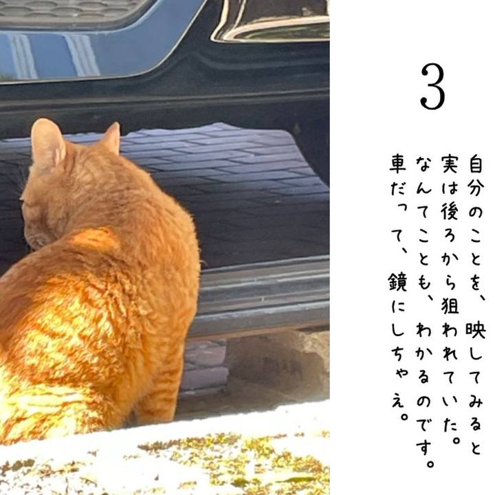 E92e0676 c6f8 43aa b8b3 39cf5d3b39b7 1785920274990