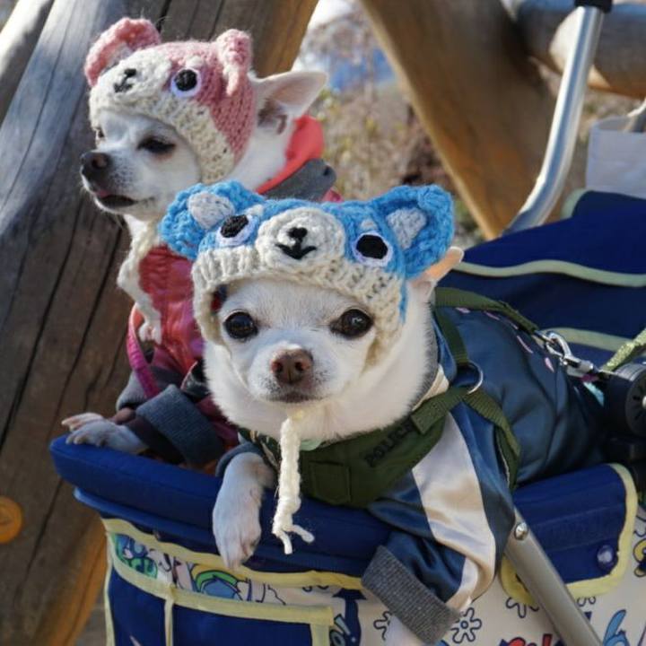 E92e226b f869 442a b667 b6d56d68b6b4 1515965612350