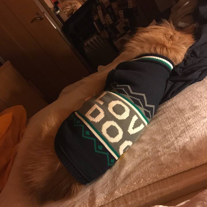 E92e335c 3a80 45b8 9a6f 65676446f928 1676535049467