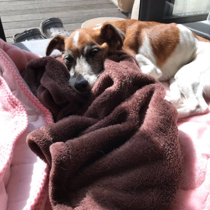 E92e3948 8b6b 4606 adde d61c1283164e 1540007011593