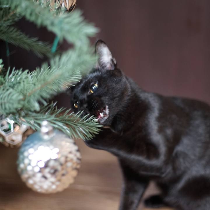 E92e48de 82ab 48d7 8d7b 572e0c706e27 1514080465824