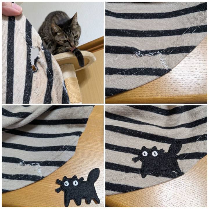 E92e8e53 f7a6 4650 a31d 33c00034b7a8 1769004943009