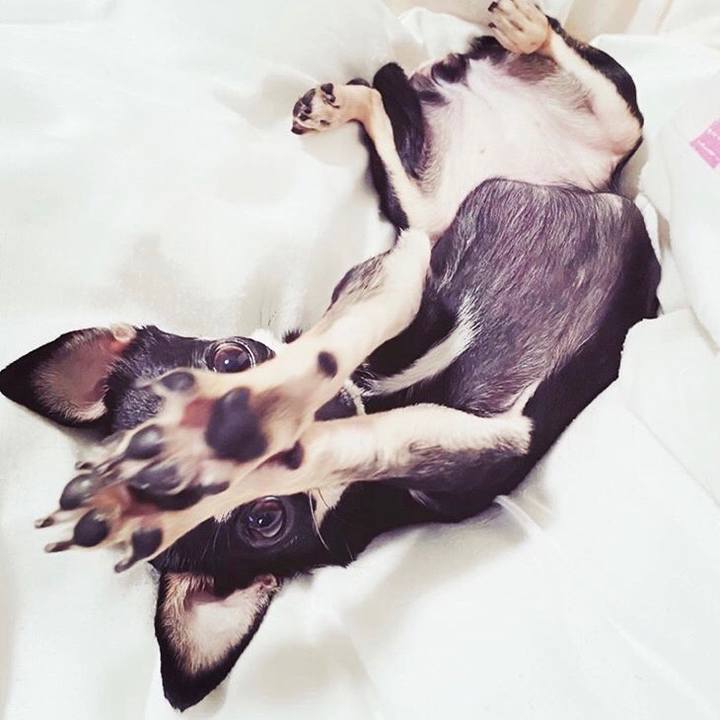 E92eeac8 7fd3 4c75 8efe b73016f33e67 1598355764527