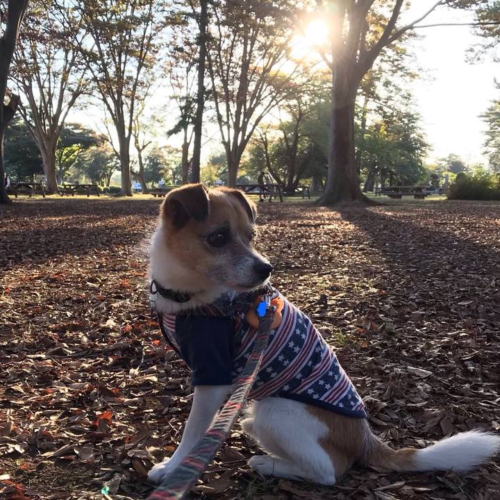 E92f001f 5ef7 4bbf 92d3 cf0747c3d107 1540798905109