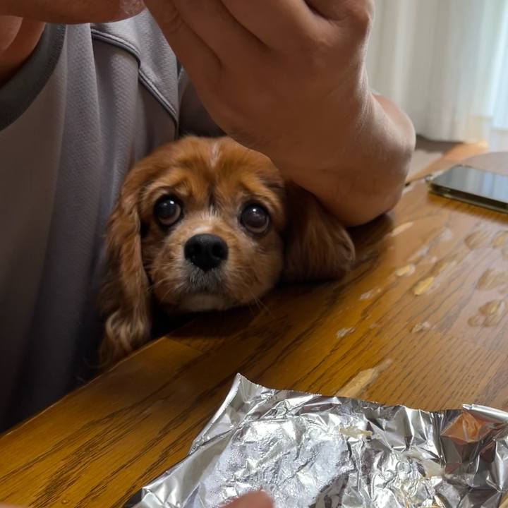 E92f1a0c 2b52 4e9b 8545 5f36116f6658 1690586389477