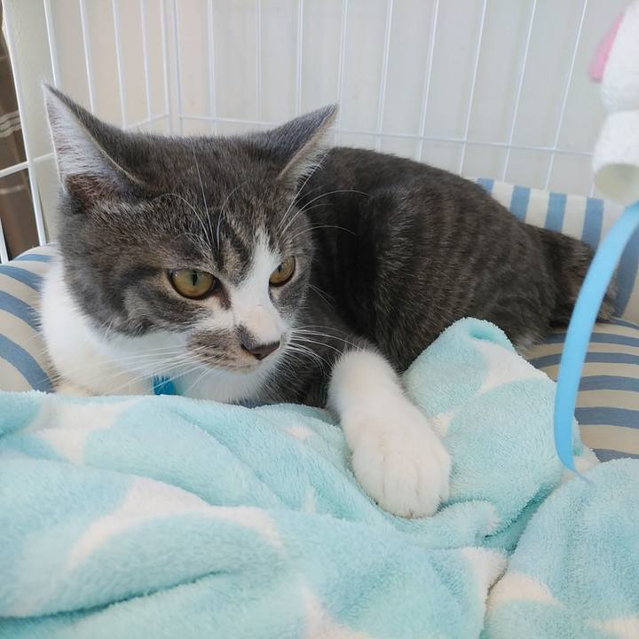 E92f6716 6308 4386 aa5f b16a5617cfe5 1572922774862