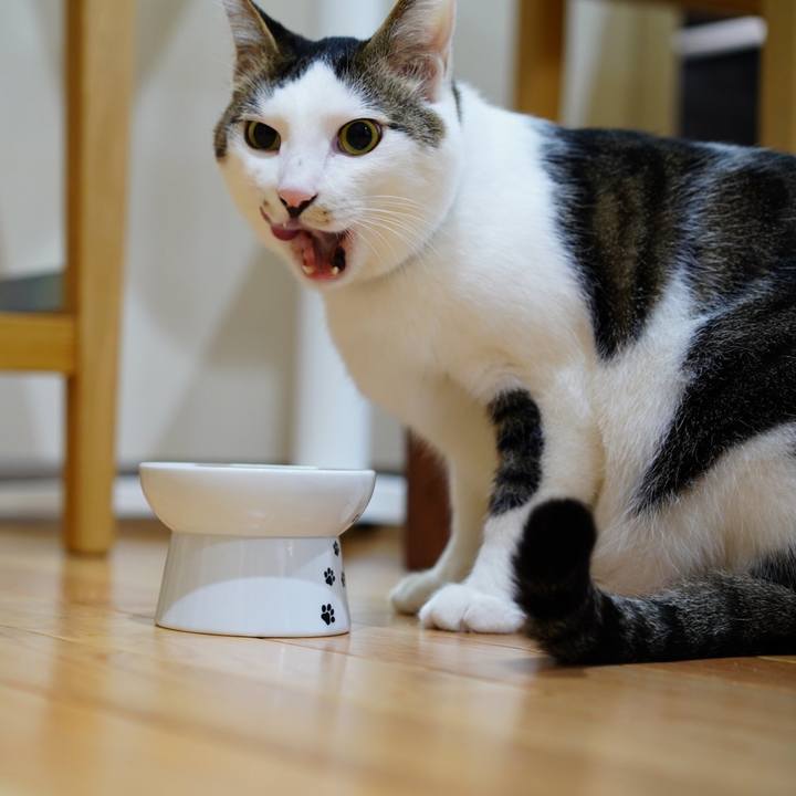 E92f9ce0 b042 4a87 8151 bd792d0d88d9 1575502968840