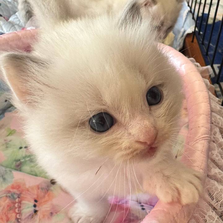 E92fa194 1307 4f31 af63 c101df496a61 1750464560353