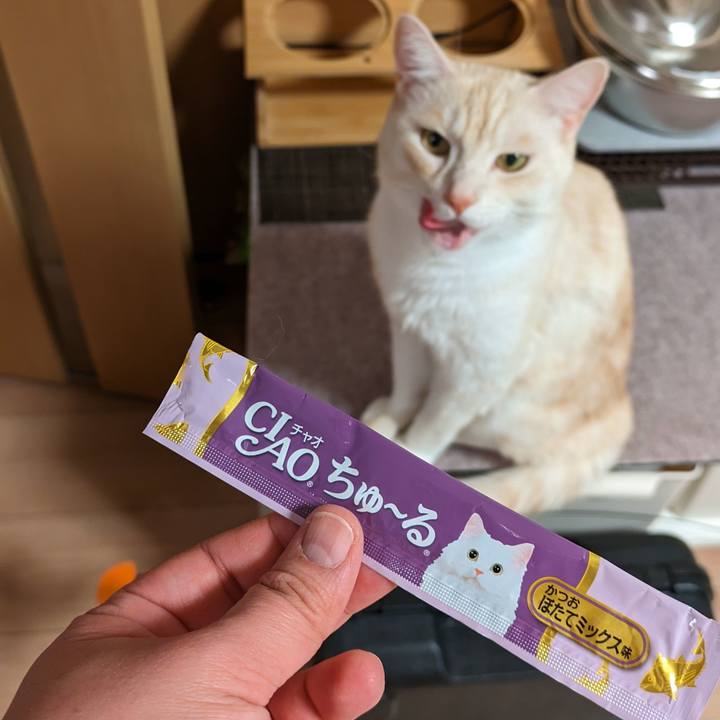 E930124c b1f9 48a0 9009 93b818965807 1699104560165