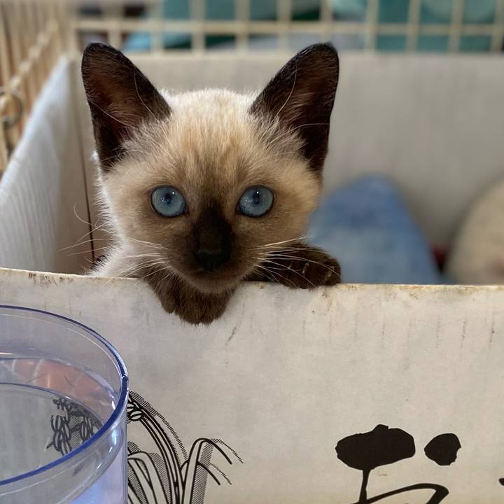 E93028ff bfdd 4177 9549 766ee8c8b470 1686465637862