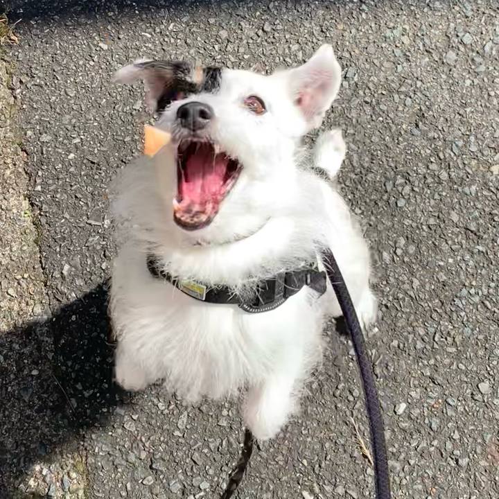 E9303be2 b5ef 4d3e a381 8aaa2230d3db 1750117609088