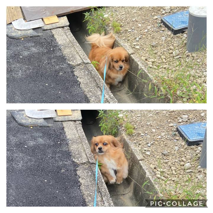 E930491f 1495 4623 ac15 a92b7de322e7 1595547760098