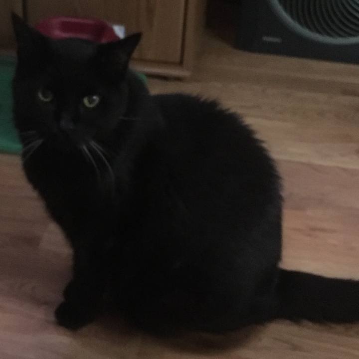 E9308d52 72d2 425c b80e 35d9f79d25a5 1632792207665