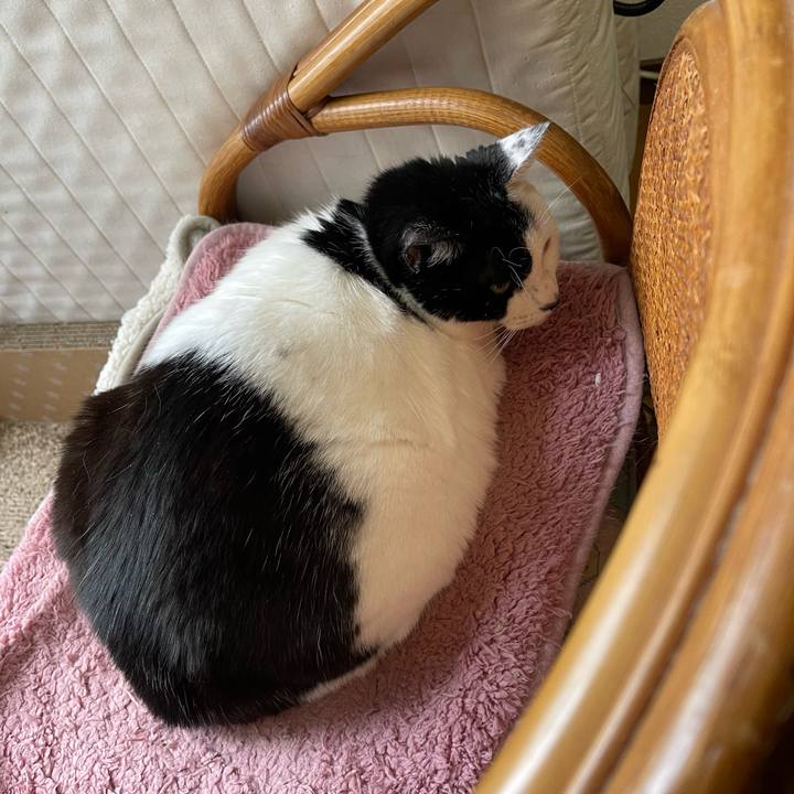 E930a0f8 b9a0 4d51 82f8 ee4fda696a0e 1770457224576