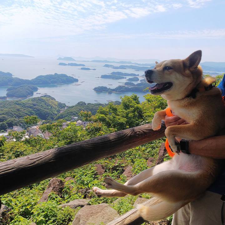 E930a26c 6660 44fc b20d ac533c74c0ae 1772929162757