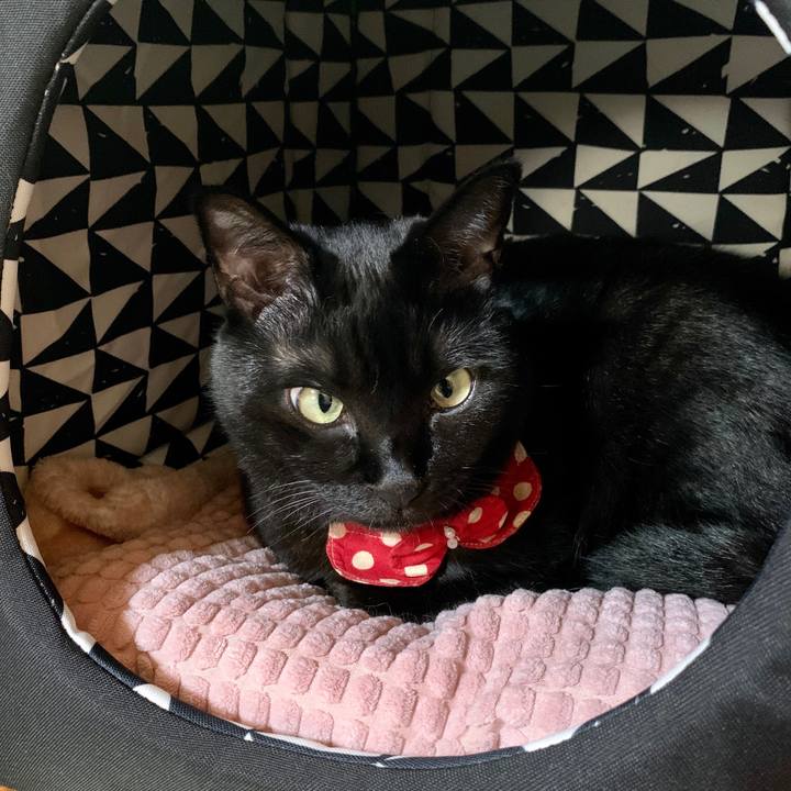 E930ca73 5b16 4eb8 adaa 2fac11d4ad71 1602575284369