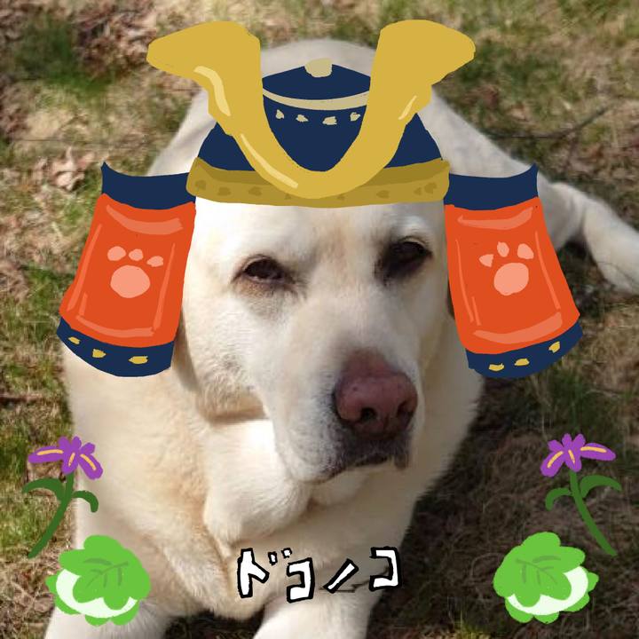 E930d694 acfb 430f bc9f 71a8f69fc975 1714916858889