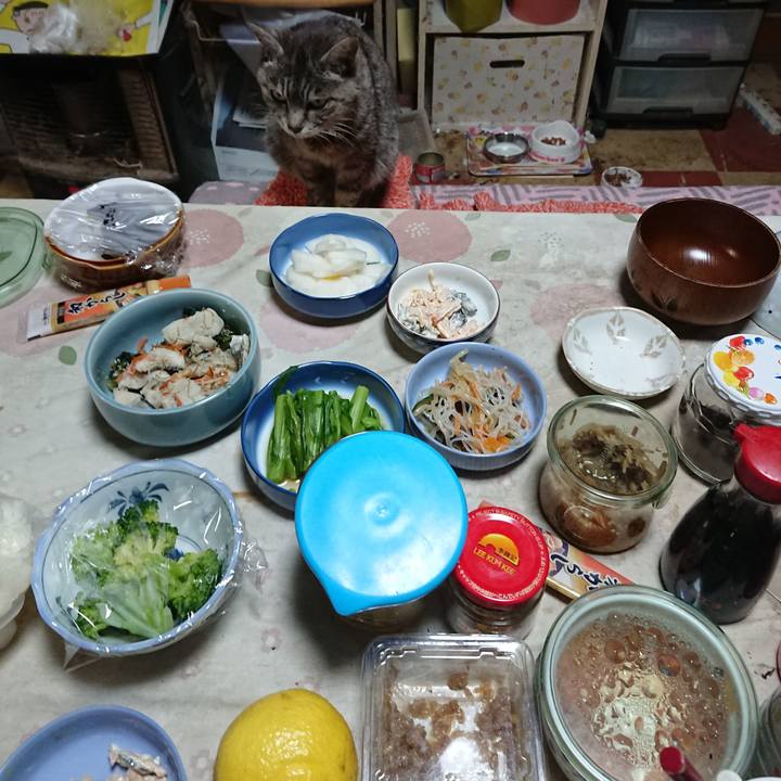 E930d9c9 2eca 40db 82f0 3e2b675b20ed 1584791002627