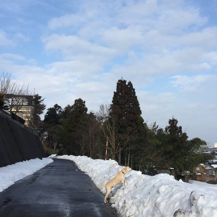 E9310a54 90bc 411a a0c8 d2fbbd1aadcc 1581166959215