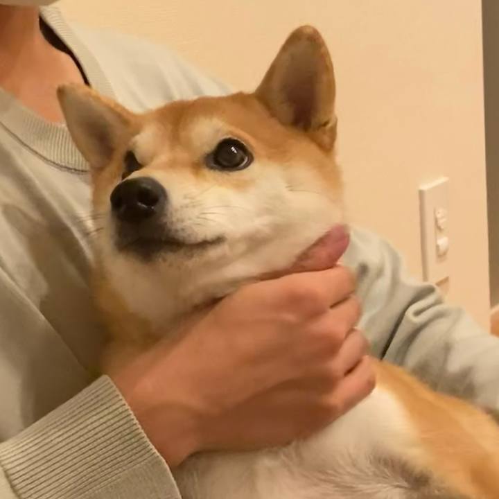 E931307f 5efc 4b81 84bc 80d2124f40ce 1672409104513