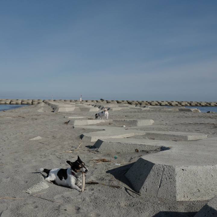 E931704d 9b87 4f03 9b6f d1344a7ccc4b 1566879865777