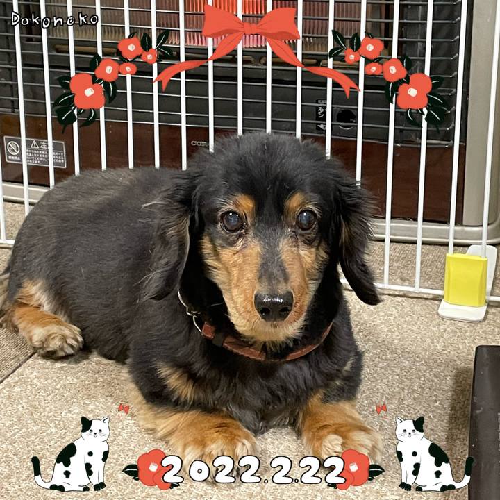 E93182bb 7c17 4bf6 92ed 8018ae66222a 1645570605931