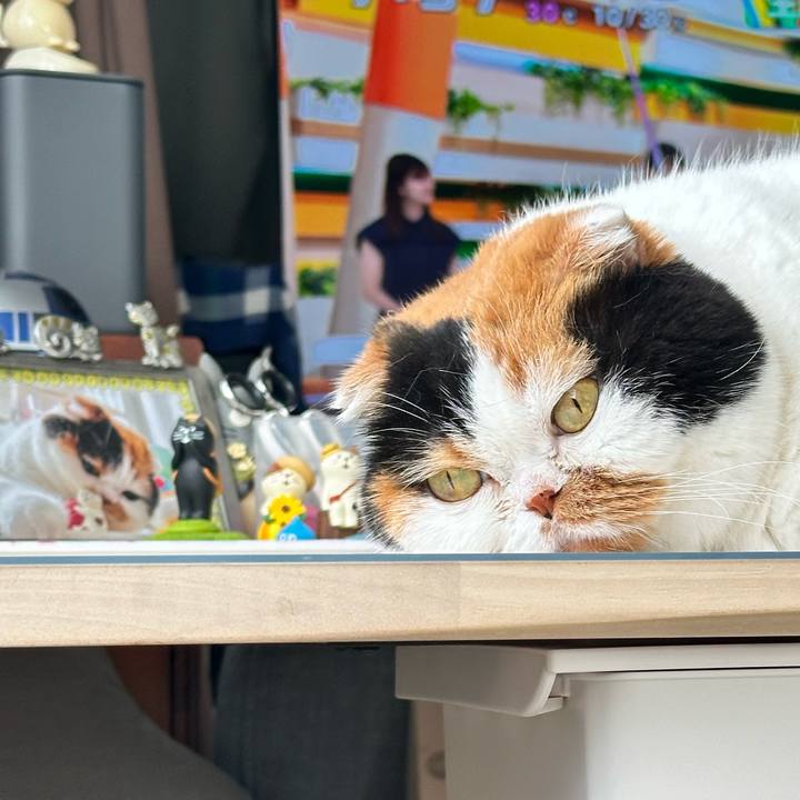 E931a91d 2ce6 4554 b08a 7df8927b1812 1723333289897