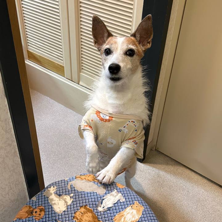 E931b013 e877 4d19 93cb a9e513687436 1755732217358